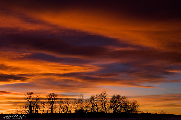 Trees are silhouetted in front of a bright orange sunset sky.