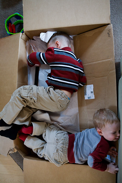 Two boys have fun playing in a cardboard box.