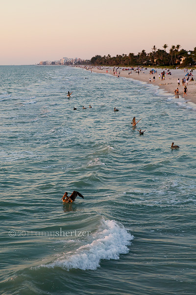 The waves roll in on a beautiful evening in Naples, Florida.